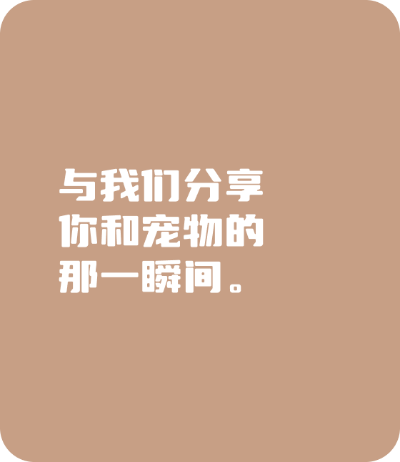 今年會jinnianhuicom寵物，無處不在
